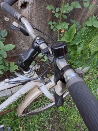 Bicicleta Bianchi de 26"