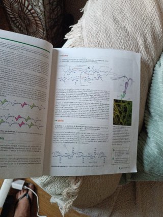 Biología 2 bachillerato