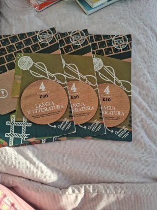 Libro 4ESO Lengua Anaya