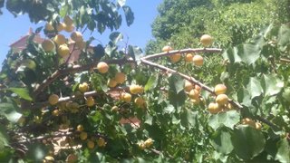 jardinería en Zaragoza para todo tipo de trabajos