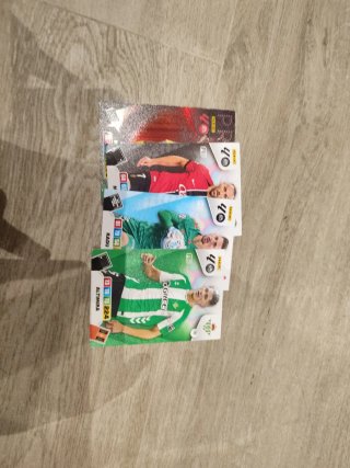 Colección cromos fútbol Panini