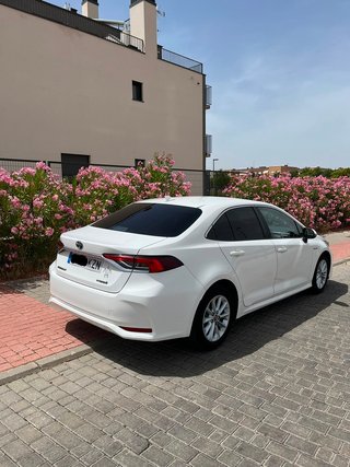 Toyota Corolla 2019