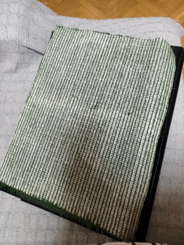 Inodoro para Perros 63x50cm