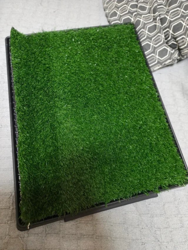 Inodoro para Perros 63x50cm