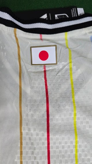 Camiseta futbol Japón Multicolor