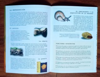 2 LIBROS MEDIO AMBIENTE