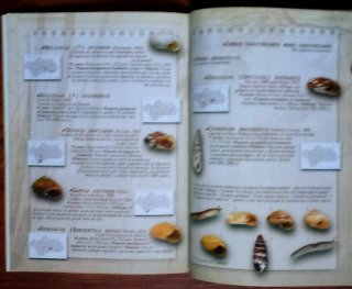 2 LIBROS MEDIO AMBIENTE