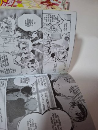 Tokyo mew mew a la mode