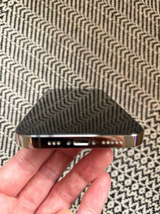iPhone 13 Pro 256 GB Gris Espacial