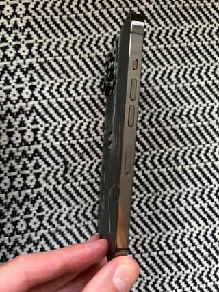iPhone 13 Pro 256 GB Gris Espacial