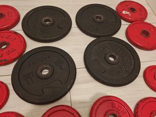 Lote Gym: Mancuernas, Discos, Banco y  dominadas