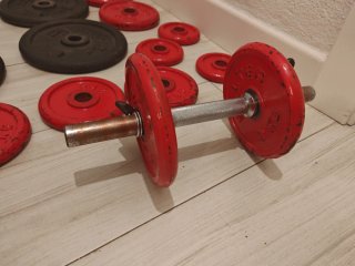 Lote Gym: Mancuernas, Discos, Banco y  dominadas