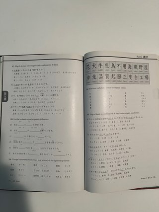 JAPONÉS EN VIÑETAS. CUADERNO DE EJERCICIOS 2