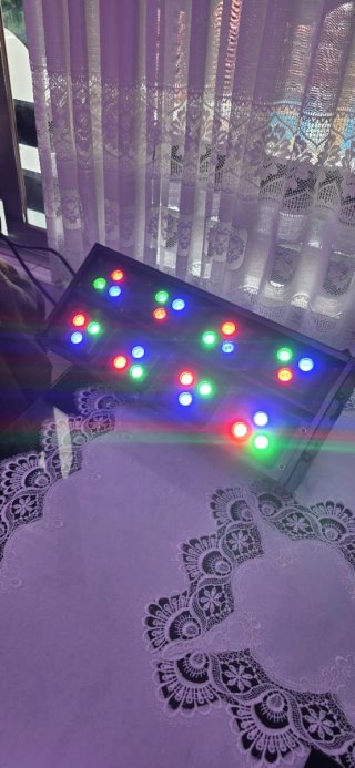 Proyector LED DMX Stairville Stage Colour 24