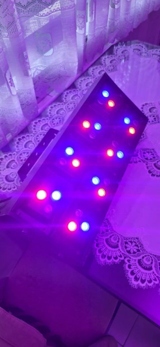 Proyector LED DMX Stairville Stage Colour 24