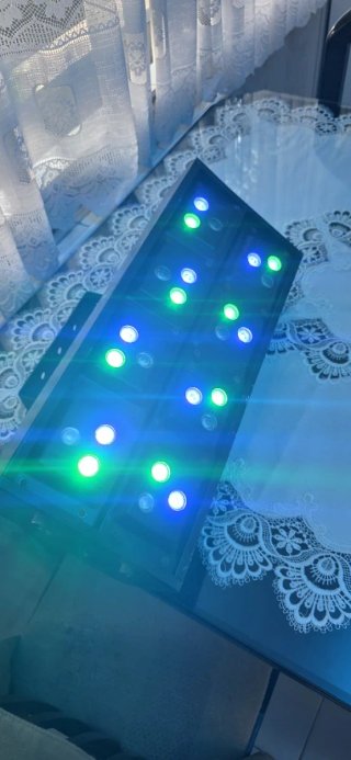 Proyector LED DMX Stairville Stage Colour 24