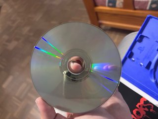 The Warriors PS2