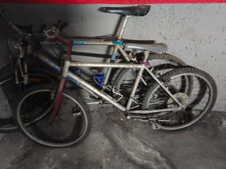 Bicicleta de montaña plateada