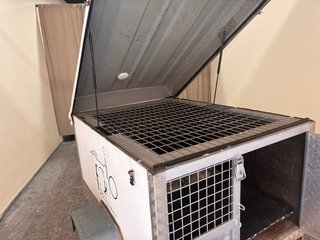 Remolque para perros o carga