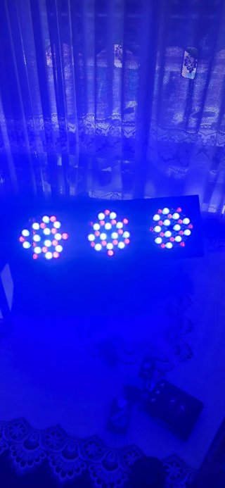 Proyector LED profesional Roxtar 180W IP65 DMX ext
