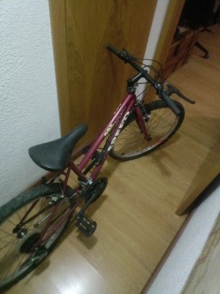 Bicicleta Speed Niños hasta 10 años