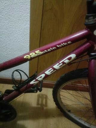 Bicicleta Speed Niños hasta 10 años