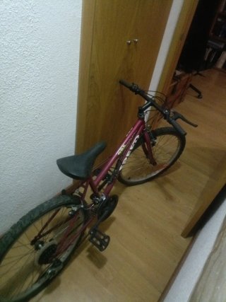 Bicicleta Speed Niños hasta 10 años