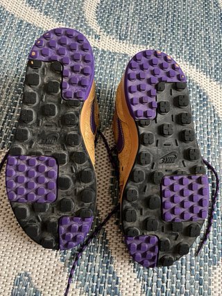 Nike Zapatillas para skate