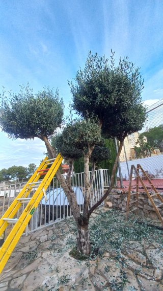 Construcción, jardinería y piscinas