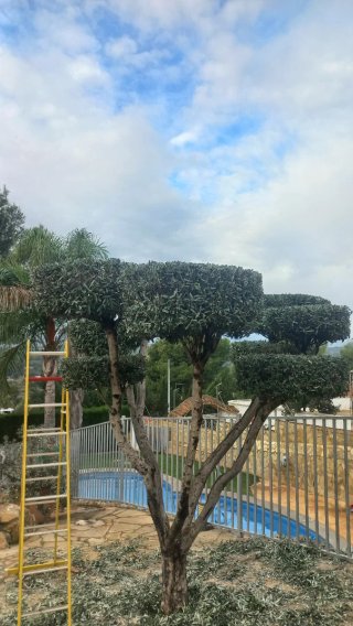 Construcción, jardinería y piscinas