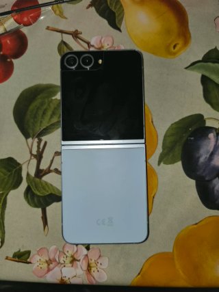 Samsung Galaxy Z Flip6 - Buono stato