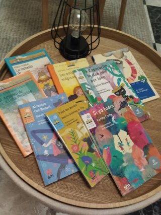 Lote de libros "Barco de Vapor "