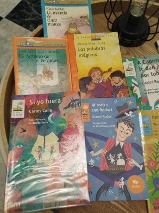 Lote de libros "Barco de Vapor "