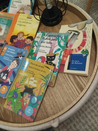 Lote de libros "Barco de Vapor "