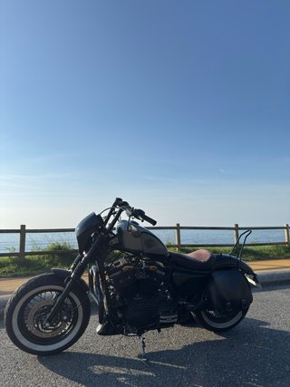 Harley Davidson Sportster Forty-Eight