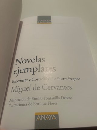 Novelas ejemplares