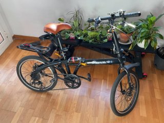 Bicicleta plegable negra