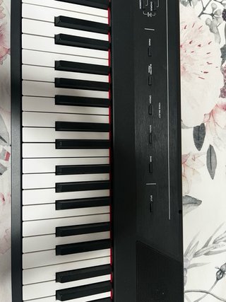 Piano Alesis Recital 88 teclas (incluye el pedal)