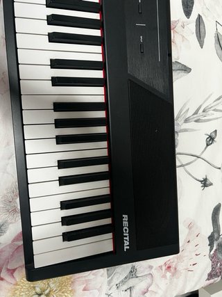 Piano Alesis Recital 88 teclas (incluye el pedal)