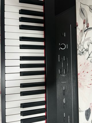 Piano Alesis Recital 88 teclas (incluye el pedal)