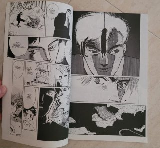 Lote manga
