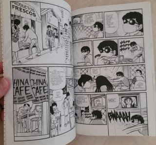 Lote manga
