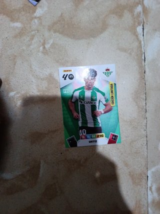 Cromos Edición Limitada Panini