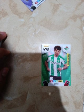 Cromos Edición Limitada Panini