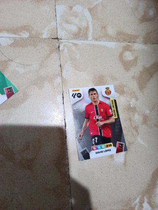 Cromos Edición Limitada Panini