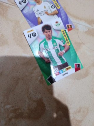 Cromos Edición Limitada Panini