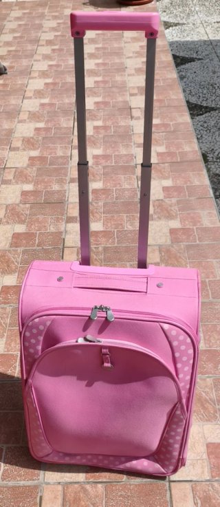 Trolley Semirigido in Tessuto Carpisa ⭐ Ottimo ⭐