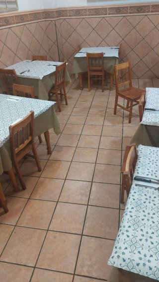 50 Sillas de Comedor de Madera