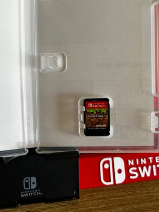 Minecraft Nintendo Switch