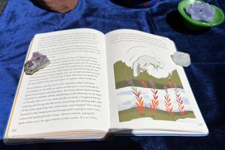 The Gentle Tarot Heal Yourself, Heal the Earth